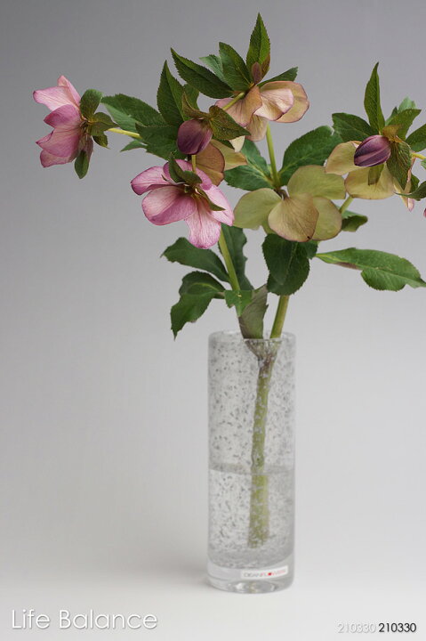 楽天市場 Henry Dean ヘンリーディーン フラワーベース ガラス 花器 花瓶 パイプs シルバー At0784 Life Balance ライフバランス