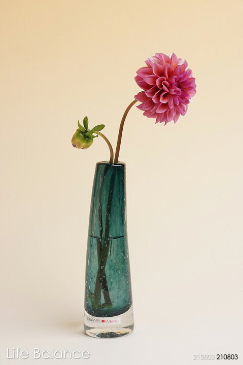 楽天市場 Henry Dean ヘンリーディーン 花器 花瓶 グラスs ジャスパー At0481 フラワーベース ガラス Life Balance ライフバランス