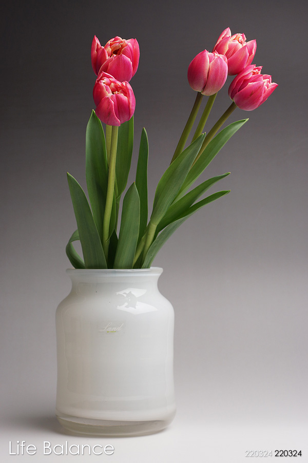 Henry Dean ヘンリーディーン 花器 花瓶 <br>ベルン16 ホワイト 50061