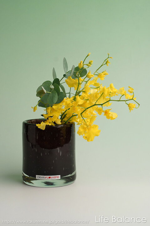 楽天市場 Henry Dean ヘンリーディーン フラワーベース ガラス 花器 花瓶 マリー L ブルネット Life Balance ライフバランス