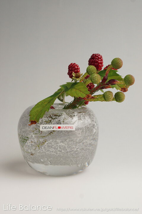 楽天市場】Henry Dean ヘンリーディーン フラワーベース ガラス 花器 花瓶 ドロップS シルバー AT0811 : Life Balance (ライフバランス) 楽天市場】Henry Dean ヘンリーディーン フラワーベース ガラス 花器 花瓶 ドロップS シルバー AT0811 : Life Balance (ライフバランス)