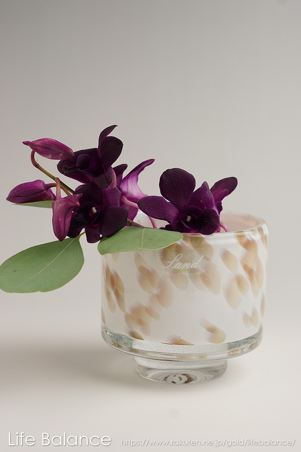 Henry Dean　ヘンリーディーン　フラワーベース　ガラス　花器　花瓶　アキコS　ベルリーノ　60041 | Life Balance  （ライフバランス）