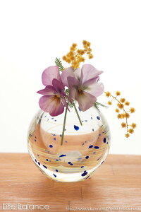 Ìyтǂ@ԕr@ʎf@@F-71270 y̓MtgzybsOzybZ[WJ[hz