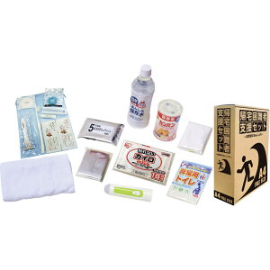 【送料無料】帰宅困難者支援セット16点 KS25-16[防災グッズ セット 防災用品 非常用持ち出し袋 非常持ち出し袋 災害用品 非常用品 非常持出袋 災害グッズ 非常用持ち出しセット 非常持ち出
