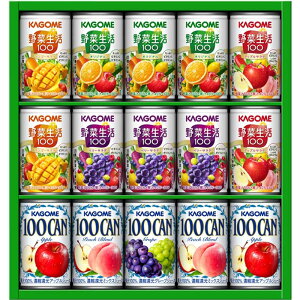 yzmnJS ₩t@~[Mtg KSR-20P mJS100CAN 100t[cW[X ʃW[X ʎ ؐ ؃W[X l  蕨  j LO