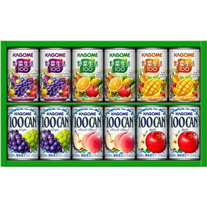 yzmnJS ₩t@~[Mtg KSR-15P mJS100CAN 100t[cW[X ʃW[X ʎ ؐ ؃W[X l  蕨  j LO