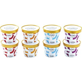 【送料無料】【直送品】【出荷時期（5月初旬～8月下旬のみ ※受付は ～8/30のAM迄）】ガレー プレミアムアイスクリーム 8個セット GLN-8［お中元用 デザート アイスクリーム チョコ キャラメル 詰合せ 贈り物 御礼 御祝い記念品 ギフトセット プレゼント］