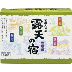 yzp IV̏h10 F-2110mp  C ObY oXpi ~l Y_KX   si p ێou bNX 蕨 