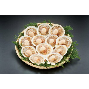 kCYقĊL12 L12yizmnm  kC قĊL 傫 LTCY Y {Y l  Ε 蕨  Mtg Zbg v[gn