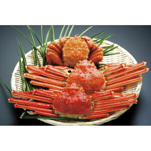 yzyiz킢2Eт1Zbg 40-32m  킢 kCY уKj {C Y l  蕨  jLOi MtgZbg mx