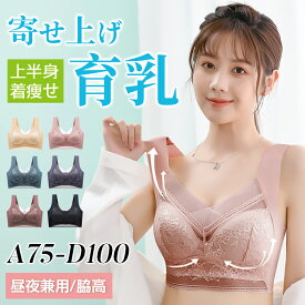 【一部即納！】ナイトブラ 大きいサイズ 育乳 夏 冷感 レース ブラジャー 育乳ブラ 自胸 脇高ブラ 脇肉 バストアップ 谷間 涼しげ 痛くない ブラ おやすみブラ ノンワイヤー 補正下着 横流れ防止 夜 おうち時間 送料無料