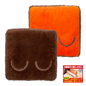 トリプルウォームマルチホットヒーター 2個組 フットウォーマー 足の 足元ヒーター 足温器 フットヒーター 足入れ 電気毛布