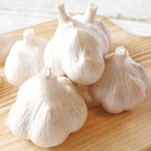 XYɂɂ ANi1kg XYɂɂ XYjjN Yɂɂ nzCgZ nzCgjjN XjjN 6 nzCg Z Xɂɂ nzCgZ