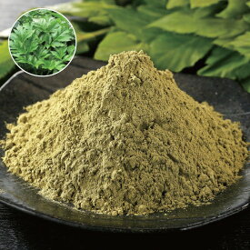 国産明日葉粉末 120g あしたば粉末 明日葉パウダー あしたば 明日葉 粉末