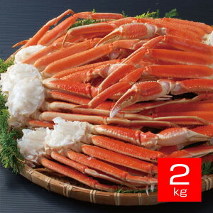 D{C^{킢Ir 3L {YCKj 2kg {C Ⓚ I |[V I|[V Jj|[V Ƀ|[V