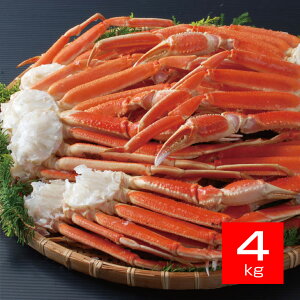 D{C^{킢Ir 3L 4kg {YCKj {C Ⓚ I |[V I|[V Jj|[V Ƀ|[V