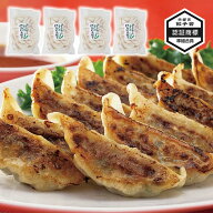 玉ちゃん餃子 青唐にんにく餃子 120個 にんにく餃子 ニンニク餃子 宇都宮餃子 冷凍ギョウザ 冷凍餃子 冷…