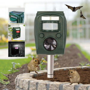 \[[[dQb쏜@ Qb쏜 \[[ Qb g