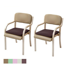 介護士がお薦めする立ち座りサポートチェア 同色2脚組 ハニカムメッシュクッション付き 介護用椅子 肘付き ダイニングチェア 介護椅子 ダイニング 介護 椅子 立ち上がり やすい 二脚 椅子 高齢者 立ち上がりやすい 肘付 肘 付き