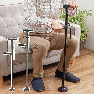 t@~ オ⏕nhtZ[teB[XebL LEDCg uU[t 2{g p 4_ ܂肽ݏ ܂ݏ XebL ܂肽 XebL    j 4_