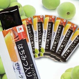 紀州産南高梅100% 梅エキスゼリー 10g×30包 はちみつ入り梅エキス ゼリータイプ 梅リグナン 梅バニリン クエン酸 ムメフラール
