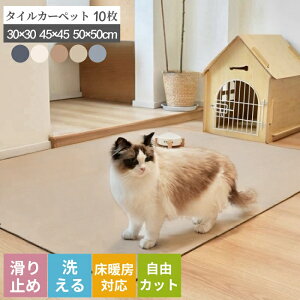 ŋz^CJ[ybg ^C}bg ybg 50×50 45×45 30×30 10 􂦂 J[ybg z z}bg ^CJ[ybg  tA}bg tA^C  WC