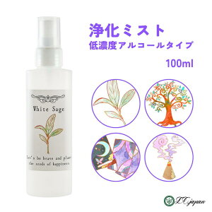zCgZ[W Xv[ 100ml Iׂ4 򉻃Xv[ AR[ ~Xg A}~Xg tLZX T_Ebh pTg VR100% {  ґz A}Xv[ Xs