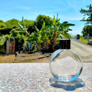 fBt[U[ e ̂ 50ml 1 ~ 12 Lbv t [hfBt[U[ ê [NVbv Zbg