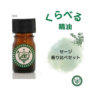 zCgZ[W RZ[W NZ[W O[NZ[W XpjbVZ[W ׂ鍁 5{Zbg 1.5ml 5ml 10ml 肭 k   A}  VR NA XbL