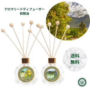 a[hfBt[U[ afBt[U[ Y  aF 50ml 1 e  qmL K쐙 V_[Ebh A}  VR u ؂̍ k tOX 