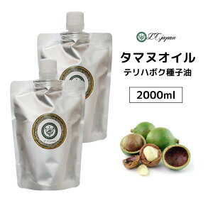 JtBIC ^}kIC 2000ml 1l×2pE`  2000cc LAIC 100 Y ^}k JtB