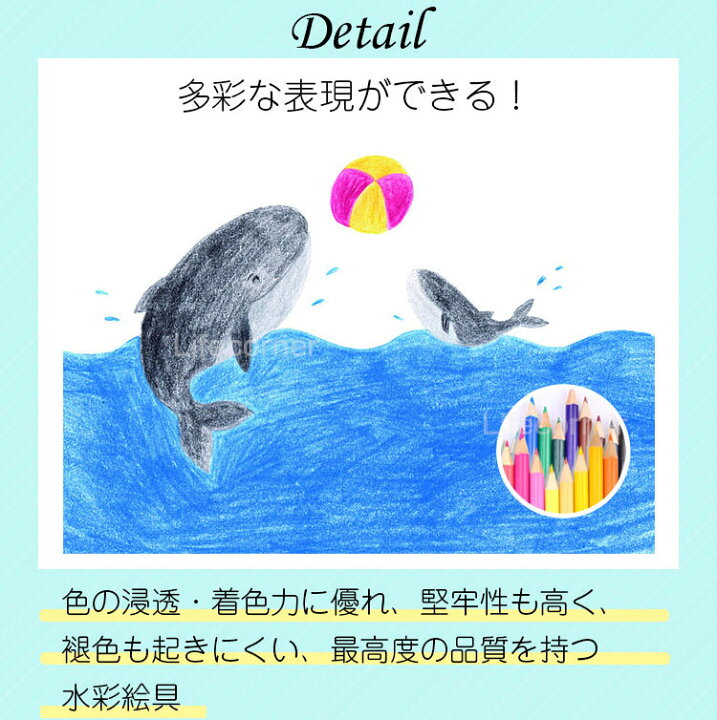 楽天市場 Offクーポン配布中 ギフト 子供在宅品 入学文房具セット お絵かきセット 知育玩具 色鉛筆 学習玩具 水彩絵の具 ぬりえ 水彩色鉛筆 クレヨン カラーペン イラスト ペンセット 水 お絵かき ボード 小学生 女の子 大人 入園 入学祝い お誕生日 新年 Life Corner