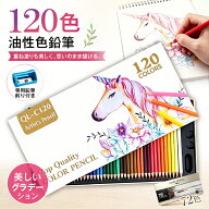 マラソン中★最大60%OFF★入学祝い グッズ プロ仕様 色鉛筆 72色/120色 カラーペン 油性色鉛筆 落書き お…