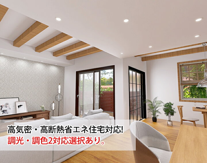 楽天市場】急げ!p5倍&2点で12%OFF☆10個set ダウンライト LED 埋込穴 