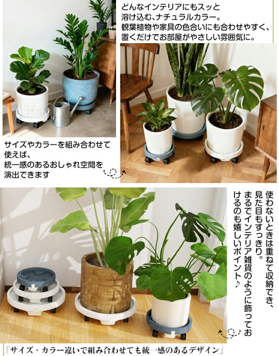 楽天市場】最短翌日着☆レビュー特典☆新作 植木鉢 おしゃれ 受け皿 鉢 