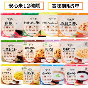 At@[Hi S 12Zbg 5Nۑ H AM[Ή