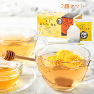 ݂͂g NV~[ ɏ݂͂g Mtg eB[obO 2Zbg 2gx25ܓ JtFC J[   I  v[g eB[pbN 킢  