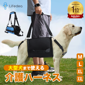 yyV1ʁz  Ck n[lX ^ ^  pi  p n[lX pn[lX s⏕n[lX p Sgn[lX VjA ⏕ p V ⏕n[lX 