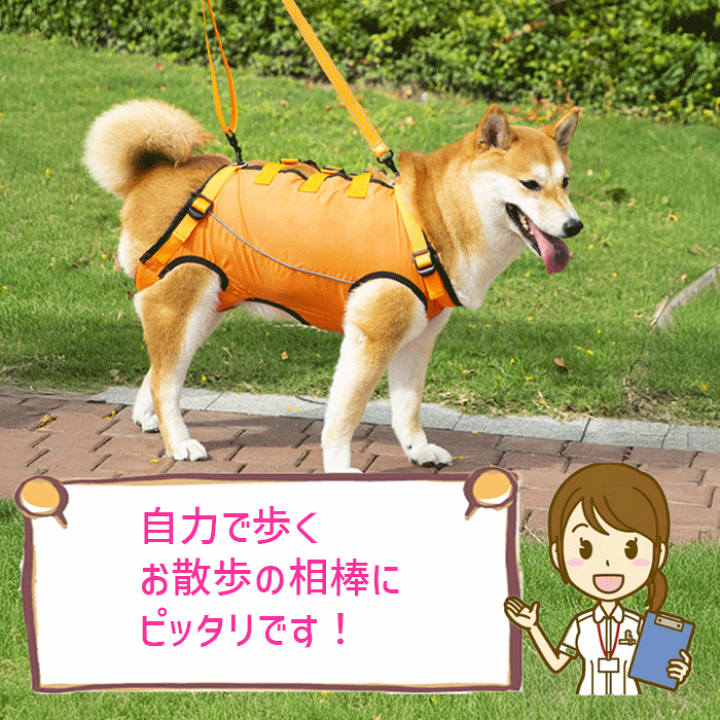 楽天市場】【楽天1位】 犬 介護 ハーネス 介護ハーネス 介護用品 介護