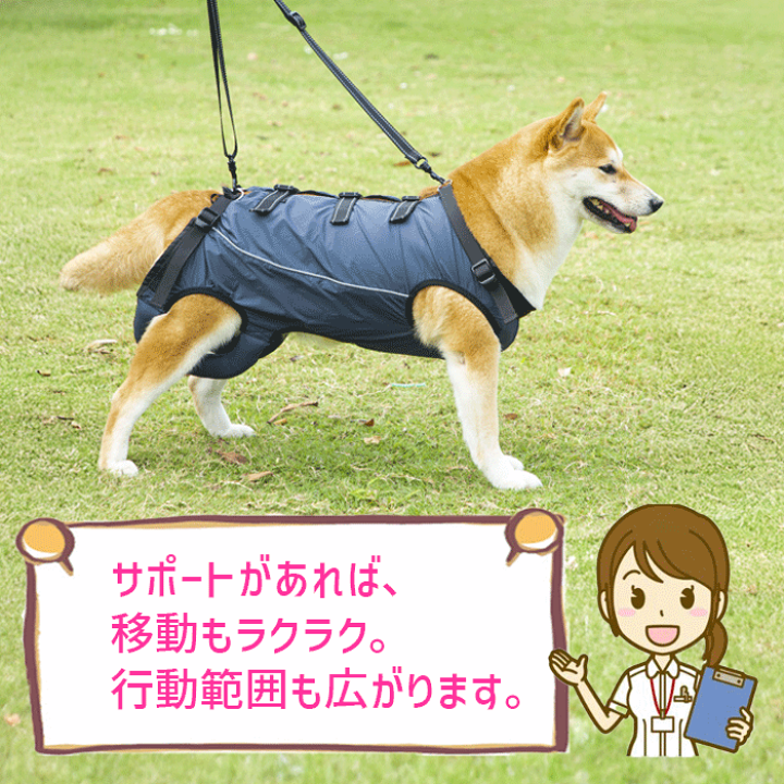 楽天市場】【楽天1位】 犬 介護 ハーネス 介護ハーネス 介護用品 介護