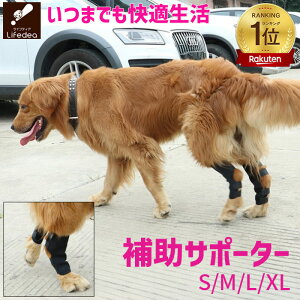 yyV1ʁz  Ck p T|[^[ pi  2 Zbg  GT|[^[ ybg T|[g p G ֐ G x EP ی veN^[ یp ʋC pŒ ⏕ 