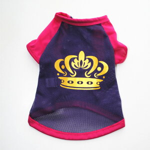 y݌Ɍ ŏIiz   ĕ bV N[ ̕ m p ybg   tbV  t  ₷ Ȃ 킢  TT ^ 