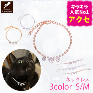 y50OFFz  ANZT[   킢   L lbNX ANZT[ ^ p`[J[ CXg[ NX^ WG LL S[WX Z