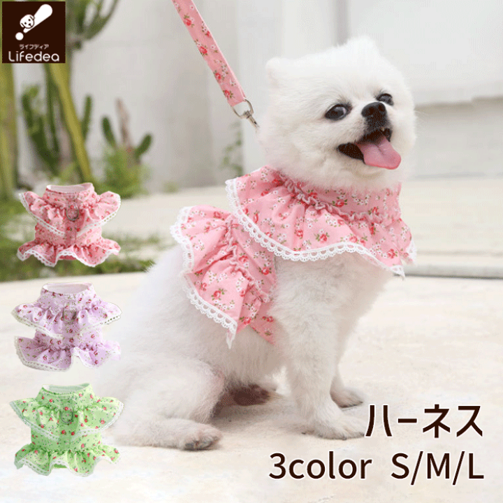 楽天市場】【35％OFF 在庫限り】犬 猫 ハーネス 人気 かわいい