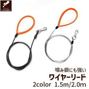  [h p[h C[[h C[ [h ̃[h N[   ݕ h  g[jO Vv nCNIeB ϋv U ^ ^