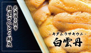 錦屋さいとう鮮魚 北海道 小樽産 ウニ 雲丹 白雲丹 キタムラサキウニ