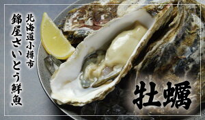 北海道産 牡蠣 生食用 殻付き 殻付き 牡蛎 牡蠣 殻付 小樽 カキ 錦屋さいとう鮮魚