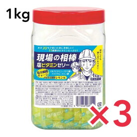 【まだまだ暑い現場のお供に】共親製菓 現場の相棒 塩ビタミンゼリー 1kgボトルタイプ 約100本入 熱中症 熱中症対策 3個セット ゼリー おいしい 塩ゼリー うまい