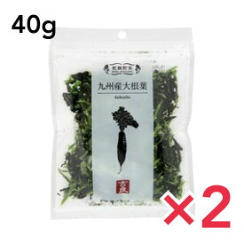 吉良食品 乾燥野菜 九州産 大根葉 40g使い切り 時短 手軽 少量 インスタント 具 2袋セット