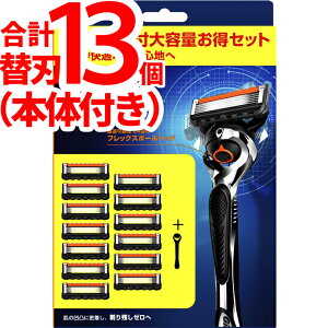 ジレット プログライド 替刃 ホルダー1本+プラス 替刃13個入 マニュアル 替え刃 5枚刃 ひげそり ひげ剃り 髭剃り Gillette 純正品